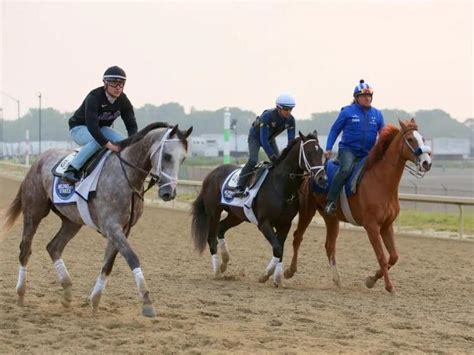 Belmont Stakes 2023 horses: Full list, post positions, odds .